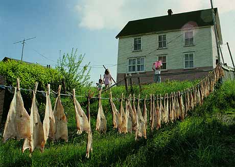 Economic Evolution of Newfoundland and Labrador and the Shift from Fishing to Sustainable Development