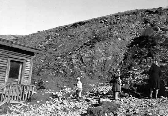 Landslides in Newfoundland and Labrador: Causes, Types, and Impacts on Communities and the Environment