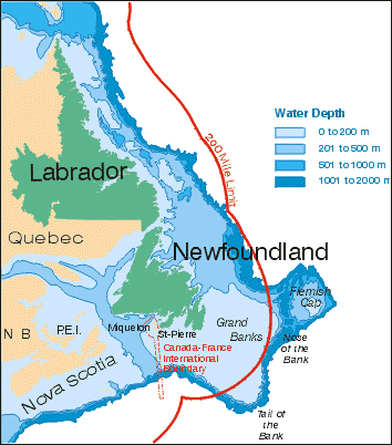 Ecological Dynamics of Cold Ocean Waters in the Northwest Atlantic Region