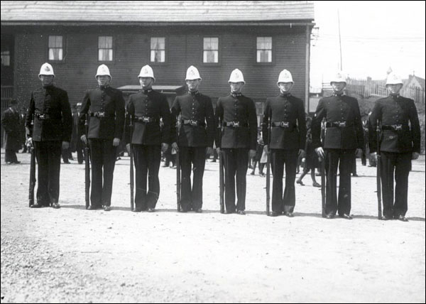 Newfoundland's Government Response to the Great Depression: Relief Measures and Political Changes in the 1930s