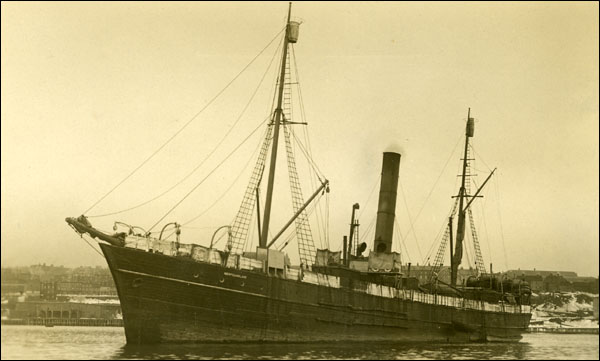 The 1914 Newfoundland Sealing Disaster: A Tragic Loss of 251 Lives and Its Impact on the Community